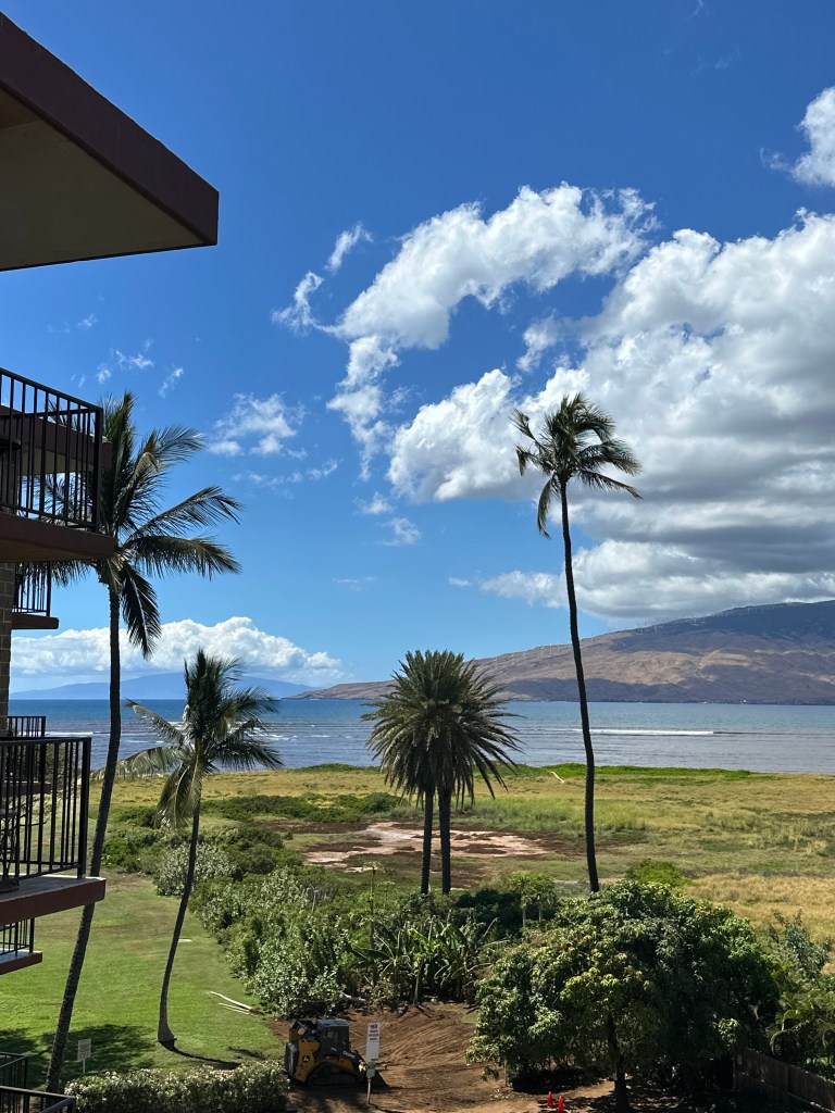 View from a lanai overlooking the ocean, featuring palm trees and vibrant blue skies with scattered clouds.